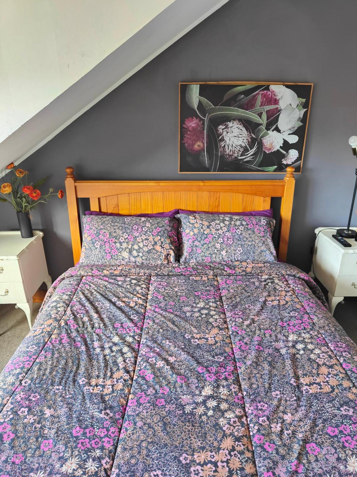 但尼丁 Manor House Backpackers旅舍 外观 照片
